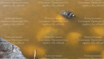 Андреевский парк Геленджика