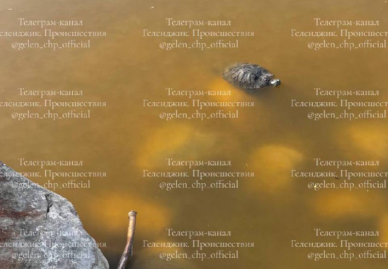 Андреевский парк Геленджика